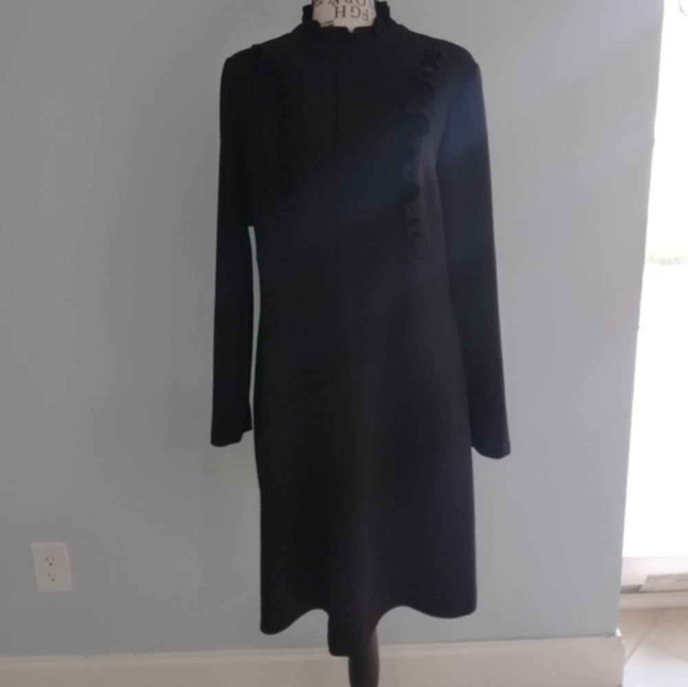 Sharagano High Neck Long Sleeve Dress